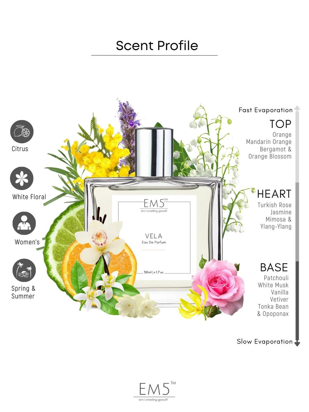 EM5™ Vela Perfume for Women | Eau De Parfum Spray | Citrus Patchouli Woody Fragrance Accords | Luxury Gift for Her | Sizes Available: 50 ml /  15 ml - House of EM5