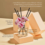 EM5™ Cafe Vanilla Reed Diffuser (120 ml) | Scented Diffuser for Home & Aromatherapy | Natural Fragrance of Vanilla | Lasts Upto 45 to 60 days & Smokeless | 8 Reeds with Diffuser Jar & Oil - House of EM5